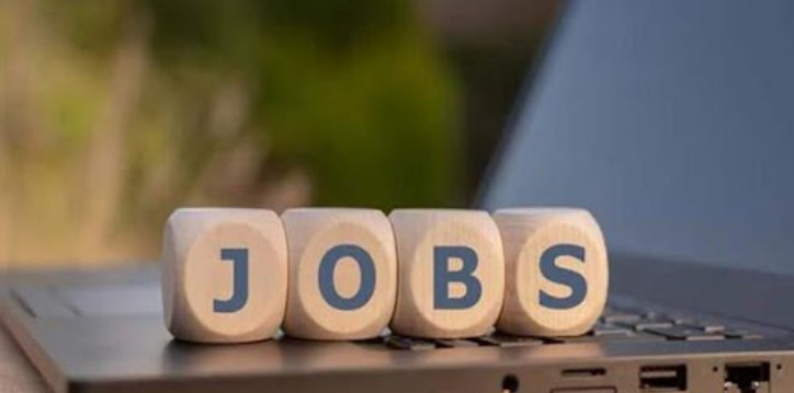 110 Accounts Posts created in Revenue deptt